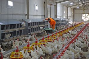 dalaman-4-300x200 Dalaman Cezaevinde Hükümlüler Meslek Öğrenerek Topluma Kazandırılıyor