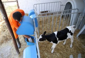 dalaman-6-300x204 Dalaman Cezaevinde Hükümlüler Meslek Öğrenerek Topluma Kazandırılıyor