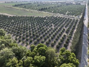 dalaman-9-300x225 Dalaman Cezaevinde Hükümlüler Meslek Öğrenerek Topluma Kazandırılıyor