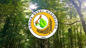 Orman Genel Müdürlüğü 26 İşçi Alımı Yapacak