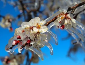 Cemre Nedir, Ne Zaman Düşer? 2026 Cemre Düşme Tarihleri ve Baharın Habercisi Cemreler