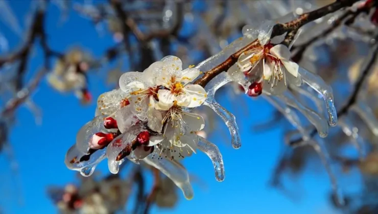 Cemre Nedir, Ne Zaman Düşer? 2026 Cemre Düşme Tarihleri ve Baharın Habercisi Cemreler
