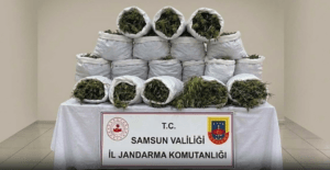 Hakkari ve Samsun’da Uyuşturucu Operasyonu Yapıldı. 265 Kilogram Skunk Ele Geçirildi