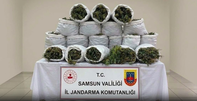 Hakkari ve Samsun’da Uyuşturucu Operasyonu Yapıldı. 265 Kilogram Skunk Ele Geçirildi