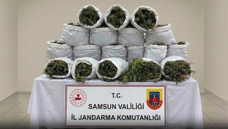 Hakkari ve Samsun’da Uyuşturucu Operasyonu Yapıldı. 265 Kilogram Skunk Ele Geçirildi