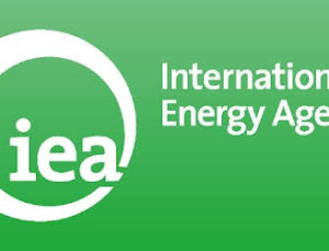 IEA Küresel Petrol Piyasasında Arz Krizinin Derinleştiğini Açıkladı