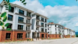 İstanbul’da Kiralık Konut Dönemi Başlıyor. Kiralar 10 Bin TL’den Başlayacak